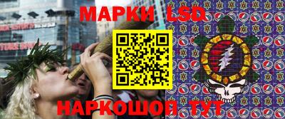 сатива Будённовск