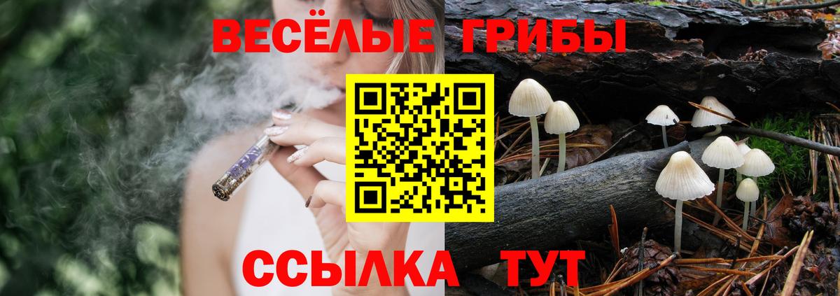 Галлюциногенные грибы GOLDEN TEACHER Таганрог